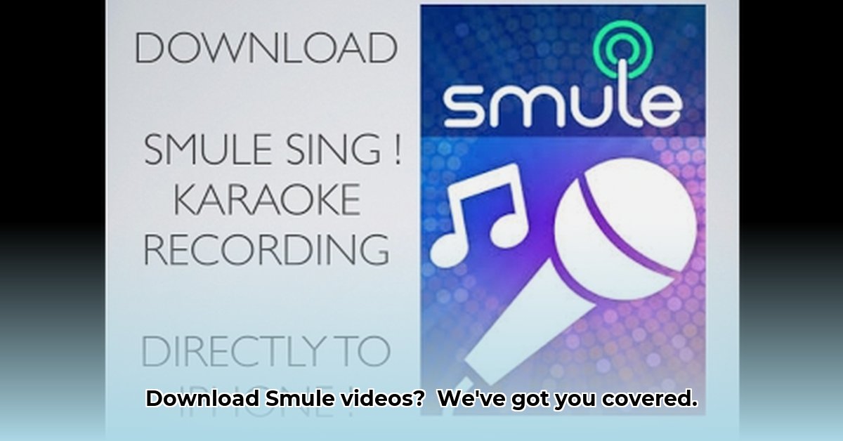 download-video-smule